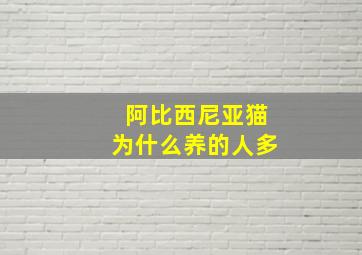 阿比西尼亚猫为什么养的人多