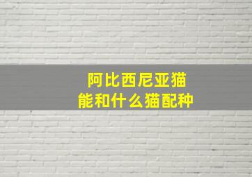 阿比西尼亚猫能和什么猫配种