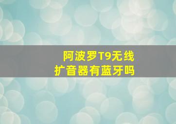 阿波罗T9无线扩音器有蓝牙吗