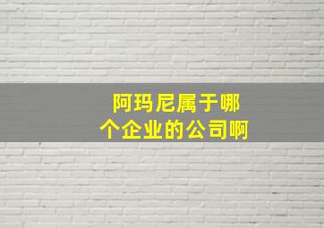 阿玛尼属于哪个企业的公司啊