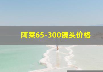 阿莱65-300镜头价格