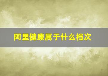 阿里健康属于什么档次