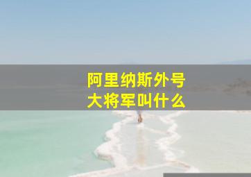 阿里纳斯外号大将军叫什么