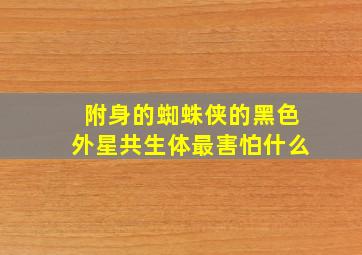 附身的蜘蛛侠的黑色外星共生体最害怕什么