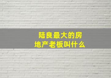 陆良最大的房地产老板叫什么