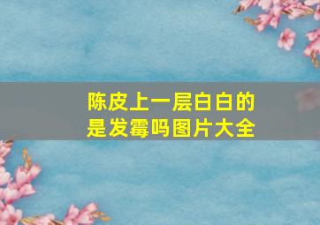 陈皮上一层白白的是发霉吗图片大全