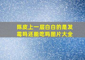 陈皮上一层白白的是发霉吗还能吃吗图片大全