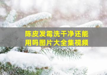 陈皮发霉洗干净还能用吗图片大全集视频