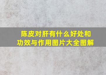 陈皮对肝有什么好处和功效与作用图片大全图解