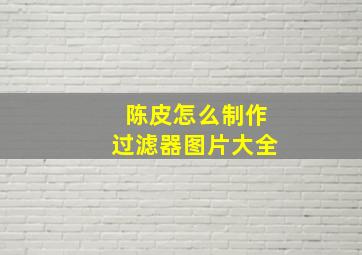 陈皮怎么制作过滤器图片大全