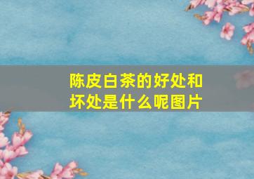 陈皮白茶的好处和坏处是什么呢图片