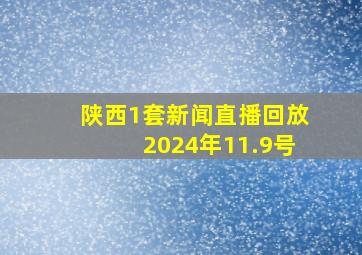 陕西1套新闻直播回放2024年11.9号