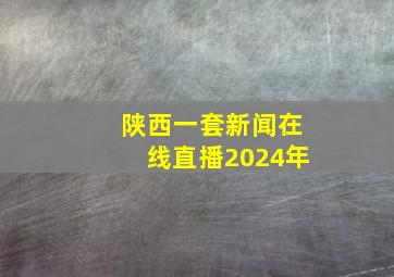 陕西一套新闻在线直播2024年