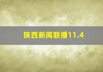 陕西新闻联播11.4