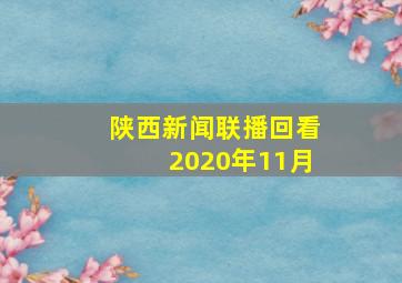 陕西新闻联播回看2020年11月