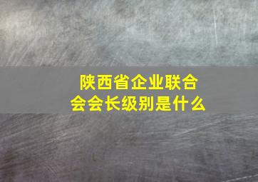 陕西省企业联合会会长级别是什么