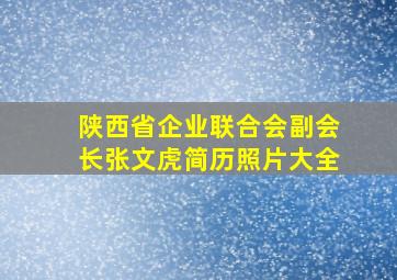 陕西省企业联合会副会长张文虎简历照片大全