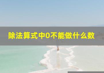 除法算式中0不能做什么数