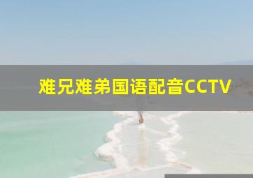 难兄难弟国语配音CCTV