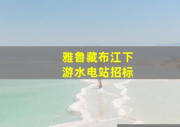 雅鲁藏布江下游水电站招标