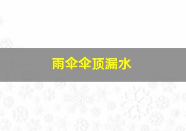 雨伞伞顶漏水