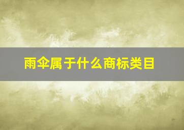 雨伞属于什么商标类目