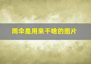 雨伞是用来干啥的图片