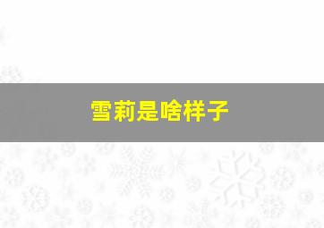 雪莉是啥样子