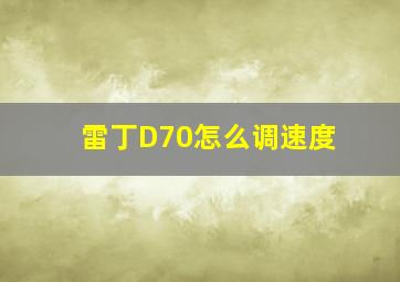 雷丁D70怎么调速度