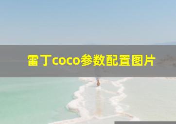 雷丁coco参数配置图片