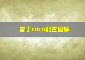 雷丁coco配置图解