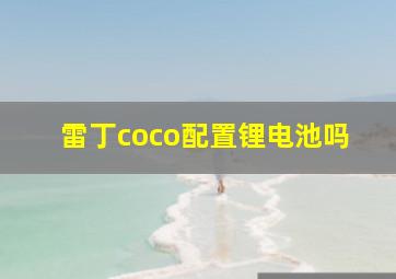 雷丁coco配置锂电池吗