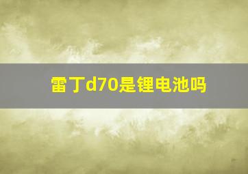 雷丁d70是锂电池吗