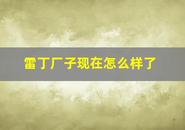 雷丁厂子现在怎么样了