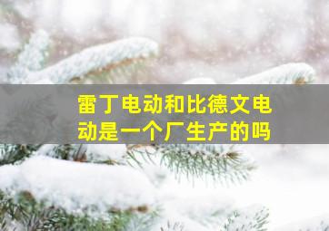 雷丁电动和比德文电动是一个厂生产的吗