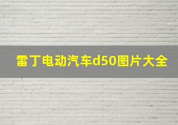 雷丁电动汽车d50图片大全