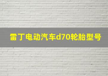 雷丁电动汽车d70轮胎型号