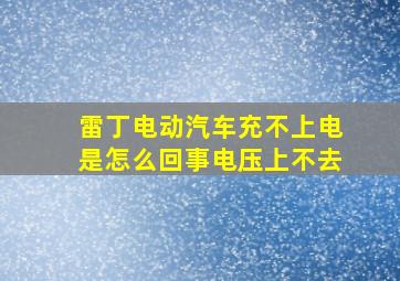 雷丁电动汽车充不上电是怎么回事电压上不去