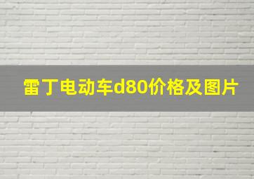 雷丁电动车d80价格及图片