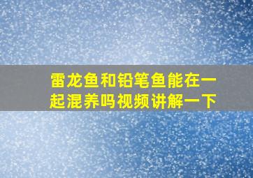 雷龙鱼和铅笔鱼能在一起混养吗视频讲解一下