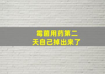 霉菌用药第二天自己掉出来了