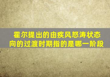 霍尔提出的由疾风怒涛状态向的过渡时期指的是哪一阶段