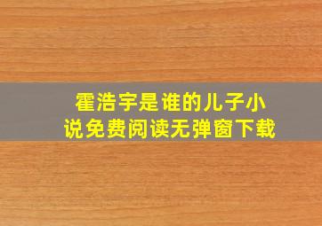 霍浩宇是谁的儿子小说免费阅读无弹窗下载