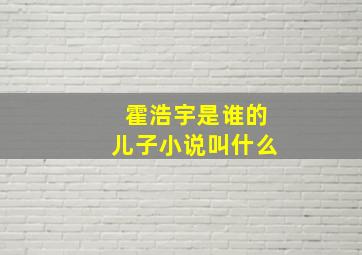 霍浩宇是谁的儿子小说叫什么