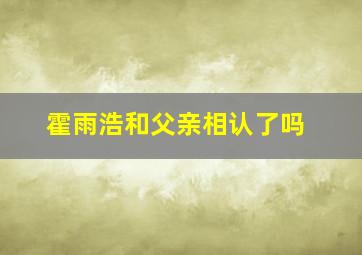 霍雨浩和父亲相认了吗