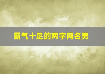 霸气十足的两字网名男