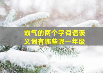 霸气的两个字词语褒义词有哪些呢一年级