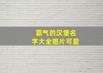 霸气的汉堡名字大全图片可爱