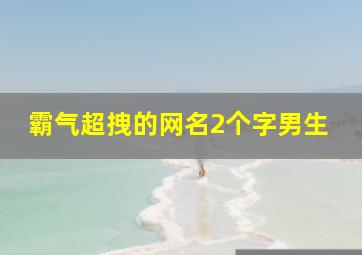 霸气超拽的网名2个字男生