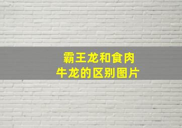 霸王龙和食肉牛龙的区别图片